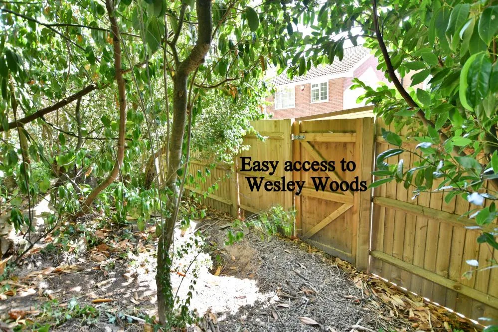 Poplar Close, Wimborne, BH21, photo 25