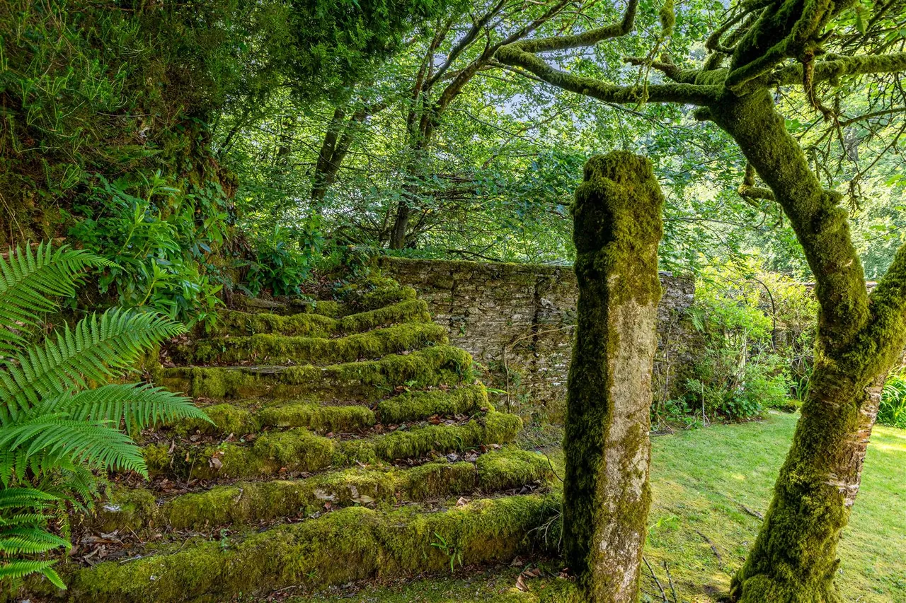 Lerryn, PL22, photo 21