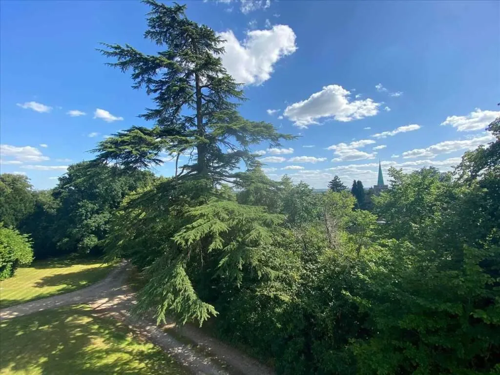 Hill Farm Road, Taplow SL6 0JD, photo 14