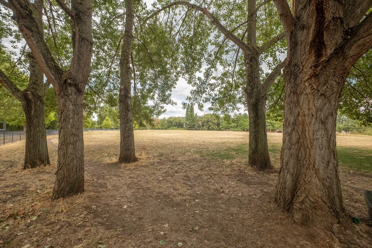 Acuba Road, London, SW18, photo 12