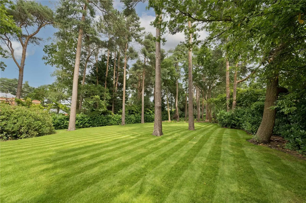 Cavendish Road, Weybridge, Surrey, KT13 0JY, photo 4