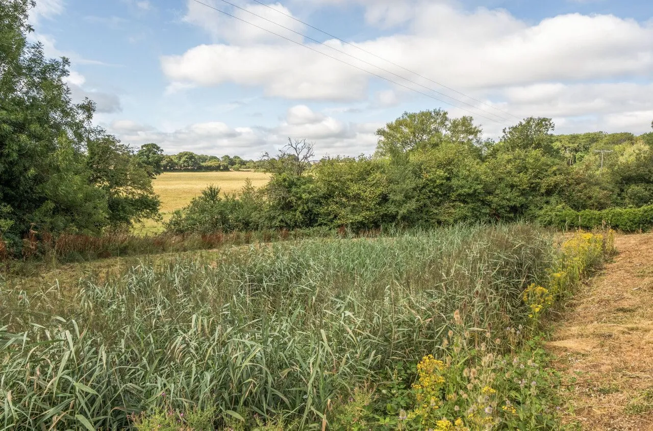 Greville Road, Clutton, BS39, photo 21