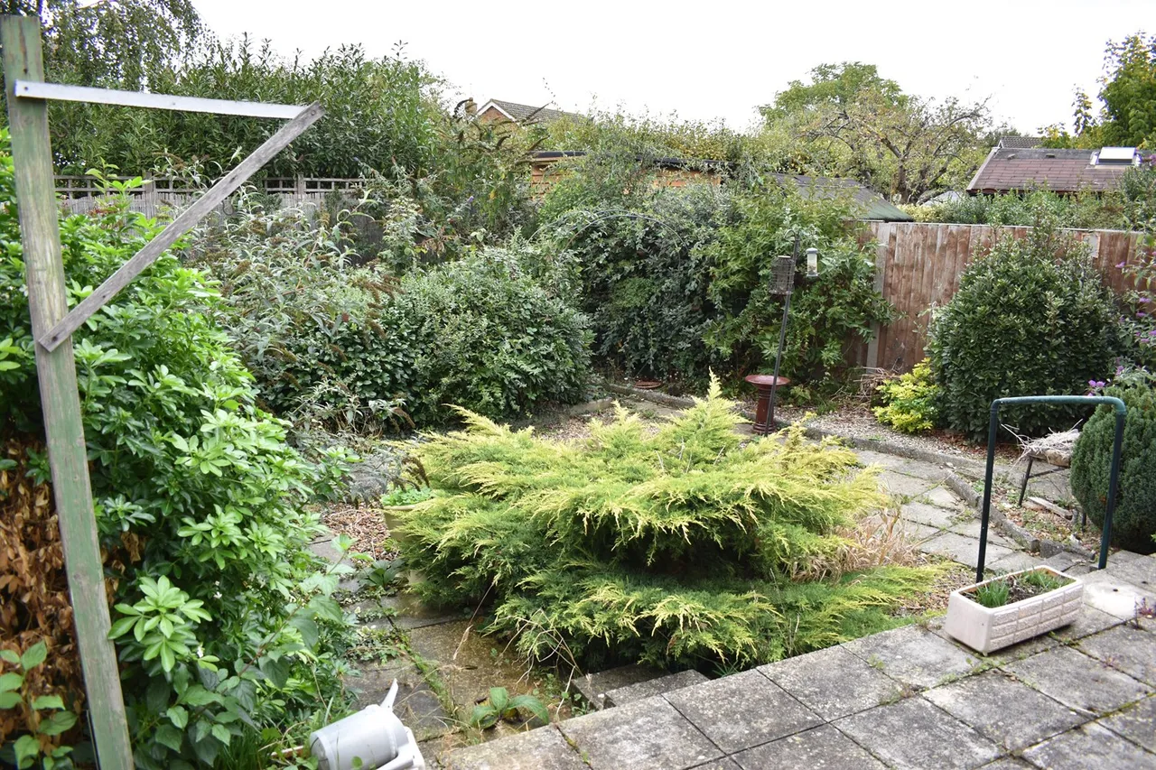 Orford Crescent, Old Springfield, CM1, photo 10