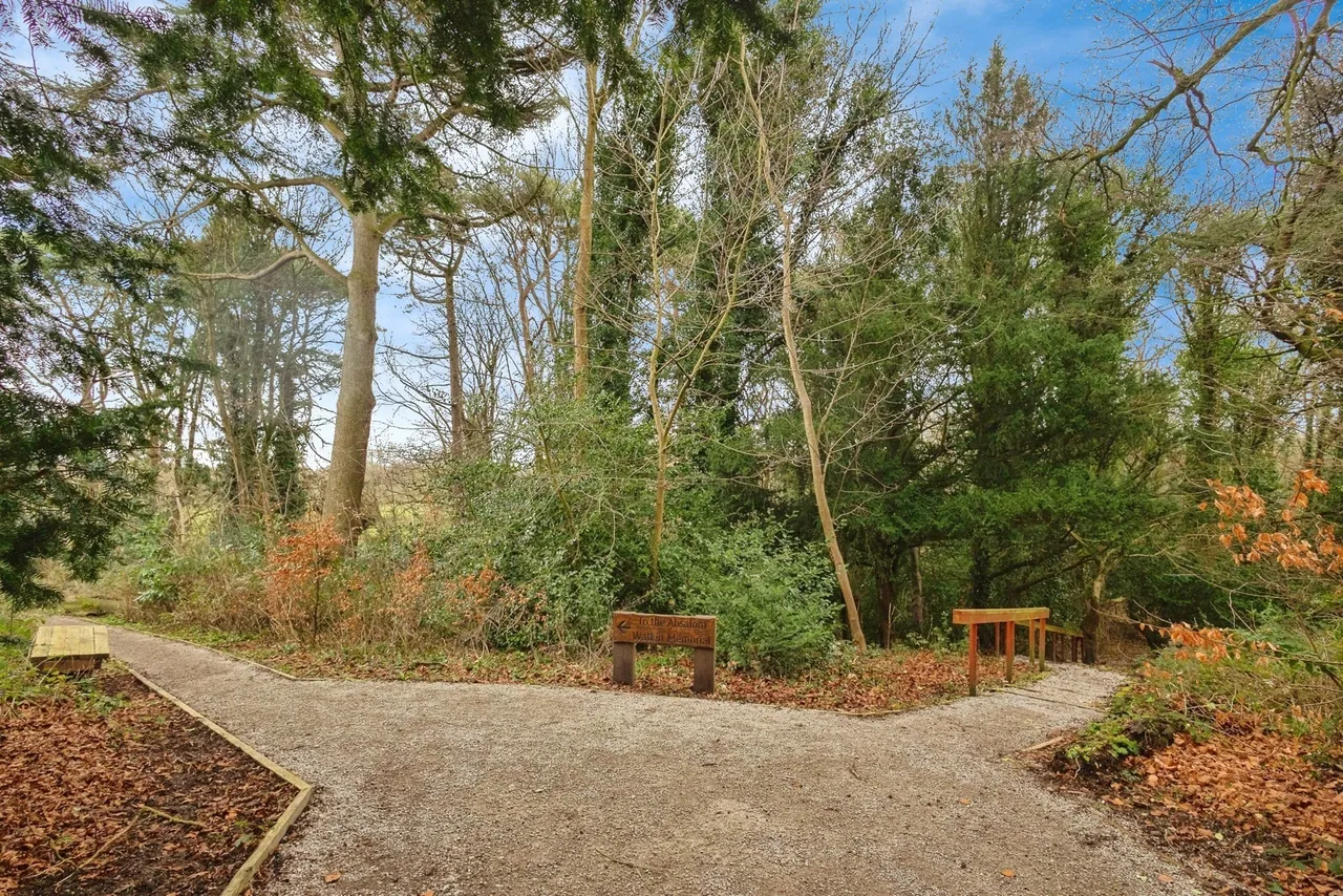 Bronington Close, Manchester, Greater Manchester, M22, photo 18