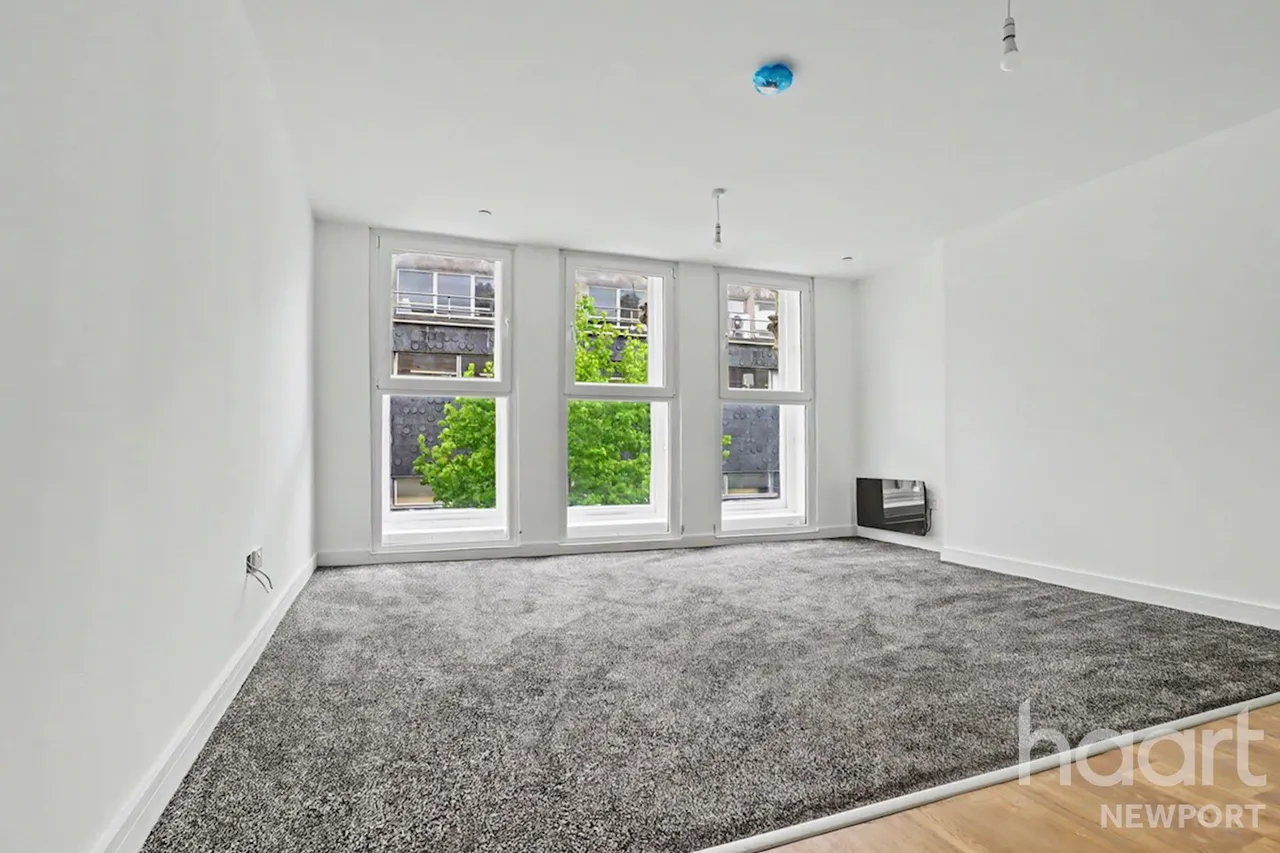 Commercial Street, NP20, photo 5