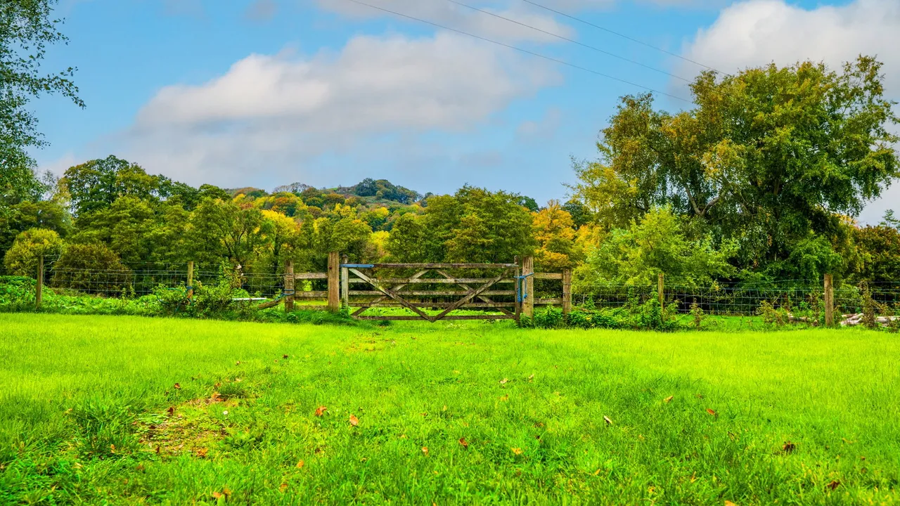 Farway, Colyton, EX24, photo 29