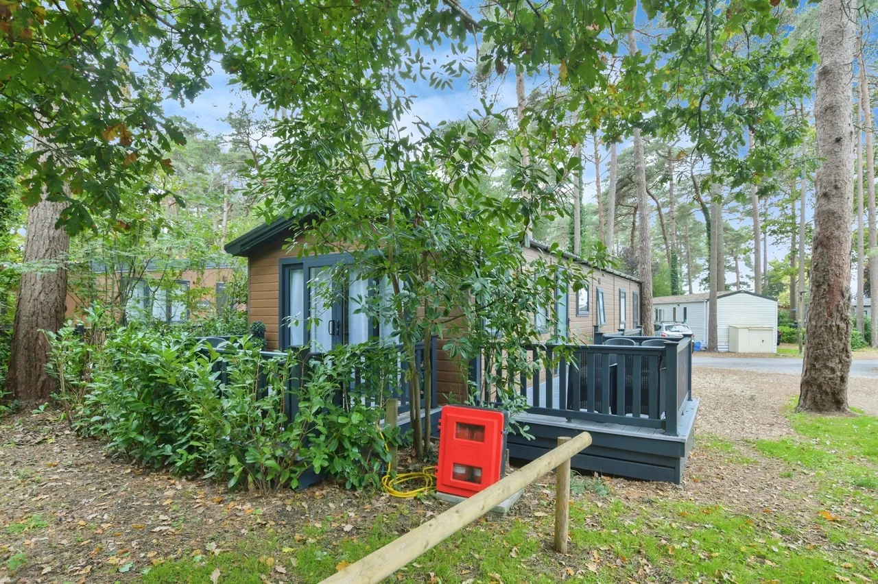 Central Way, Godshill, SP6, photo 24