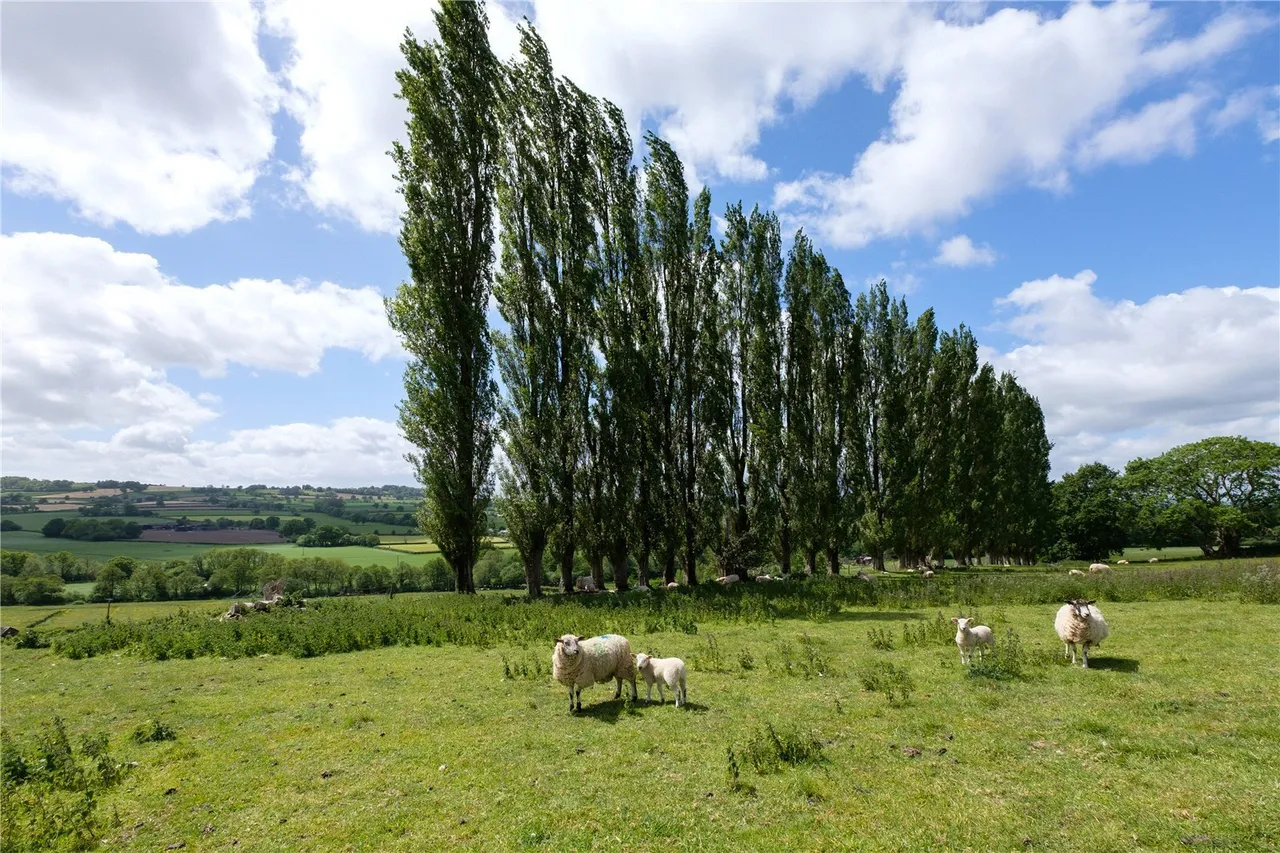 Mill Lane, Dowlish Wake, TA19, photo 55