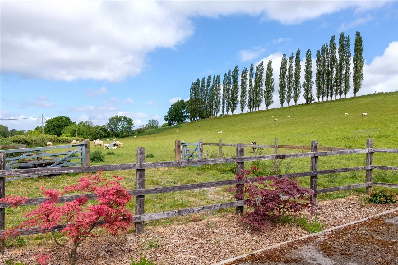 Mill Lane, Dowlish Wake, TA19, photo 50