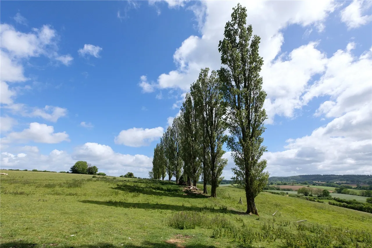 Mill Lane, Dowlish Wake, TA19, photo 56