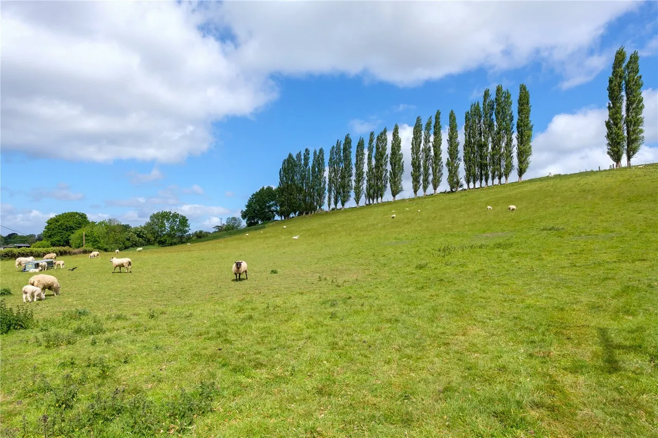 Mill Lane, Dowlish Wake, TA19, photo 51