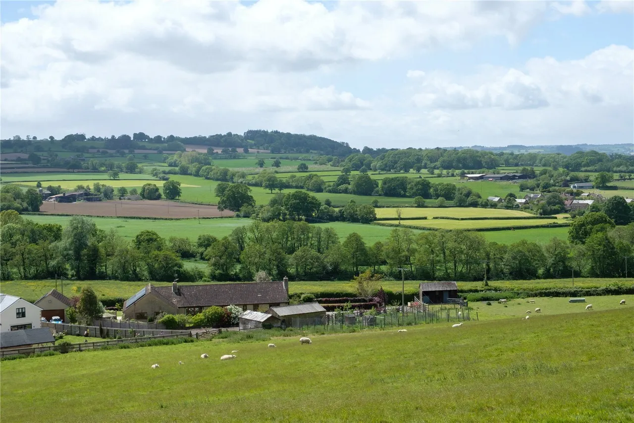 Mill Lane, Dowlish Wake, TA19, photo 36
