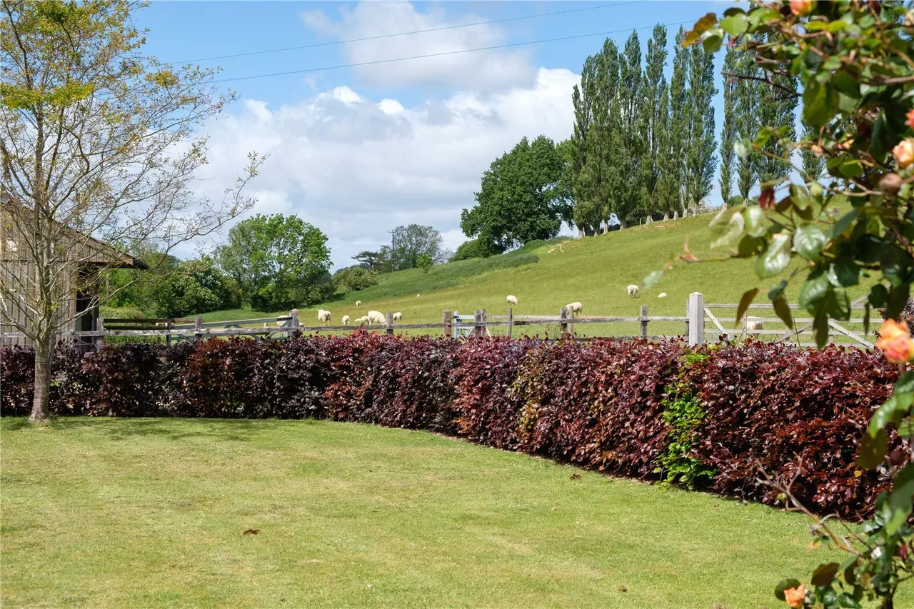 Mill Lane, Dowlish Wake, TA19, photo 46