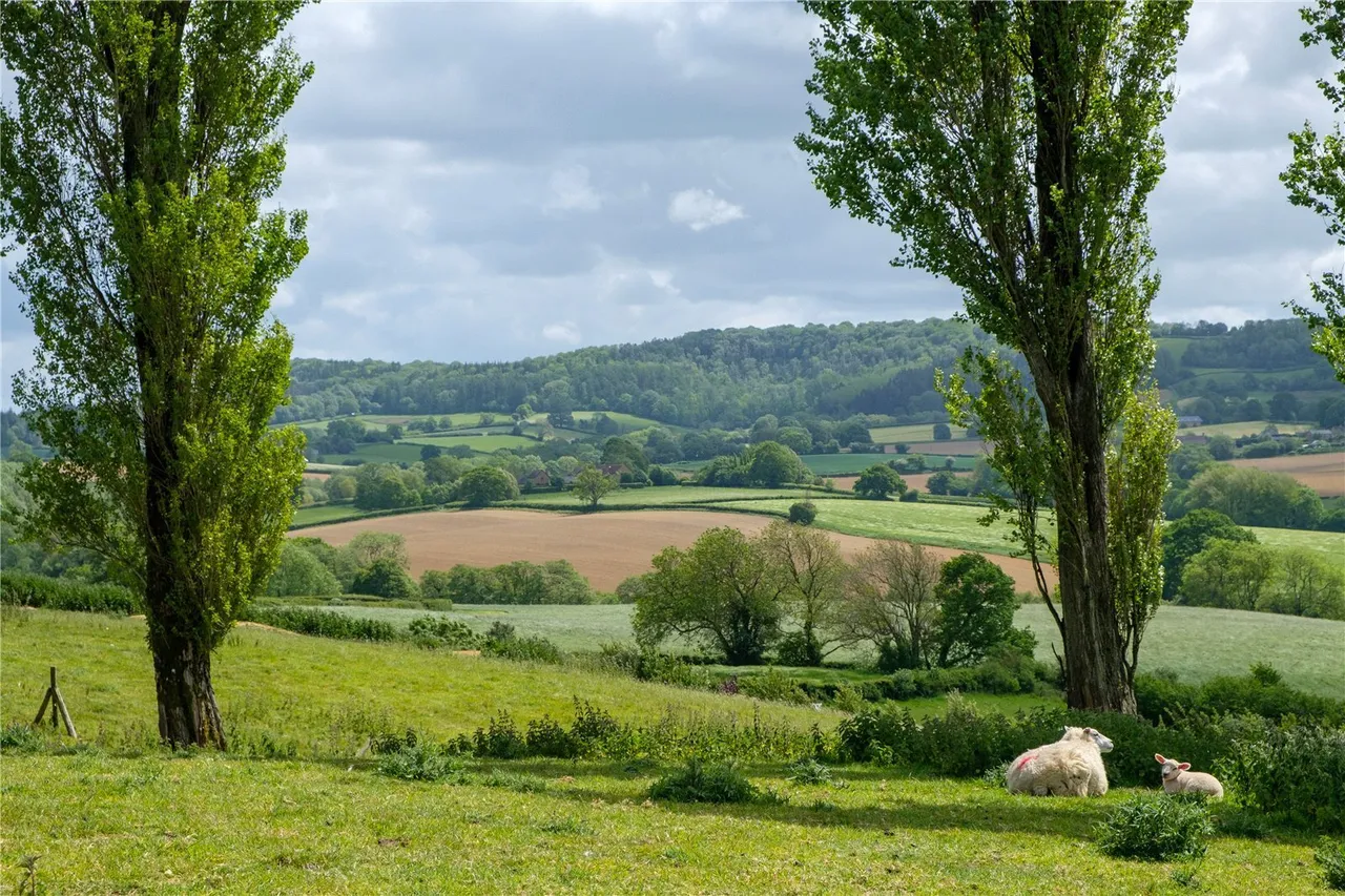 Mill Lane, Dowlish Wake, TA19, photo 3