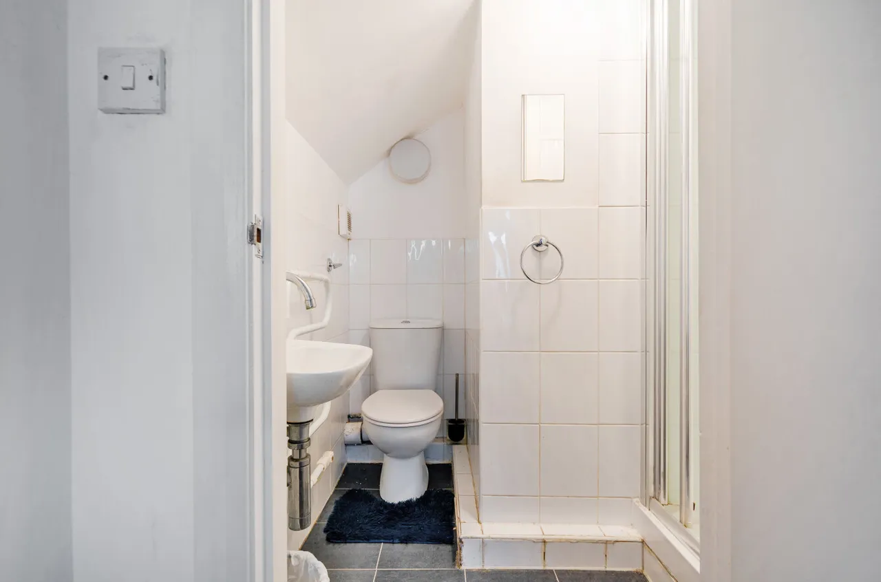 Alexandra Road, Worthing, BN11, photo 8