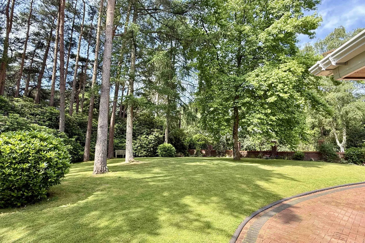Avon Avenue, Avon Castle, BH24, photo 26