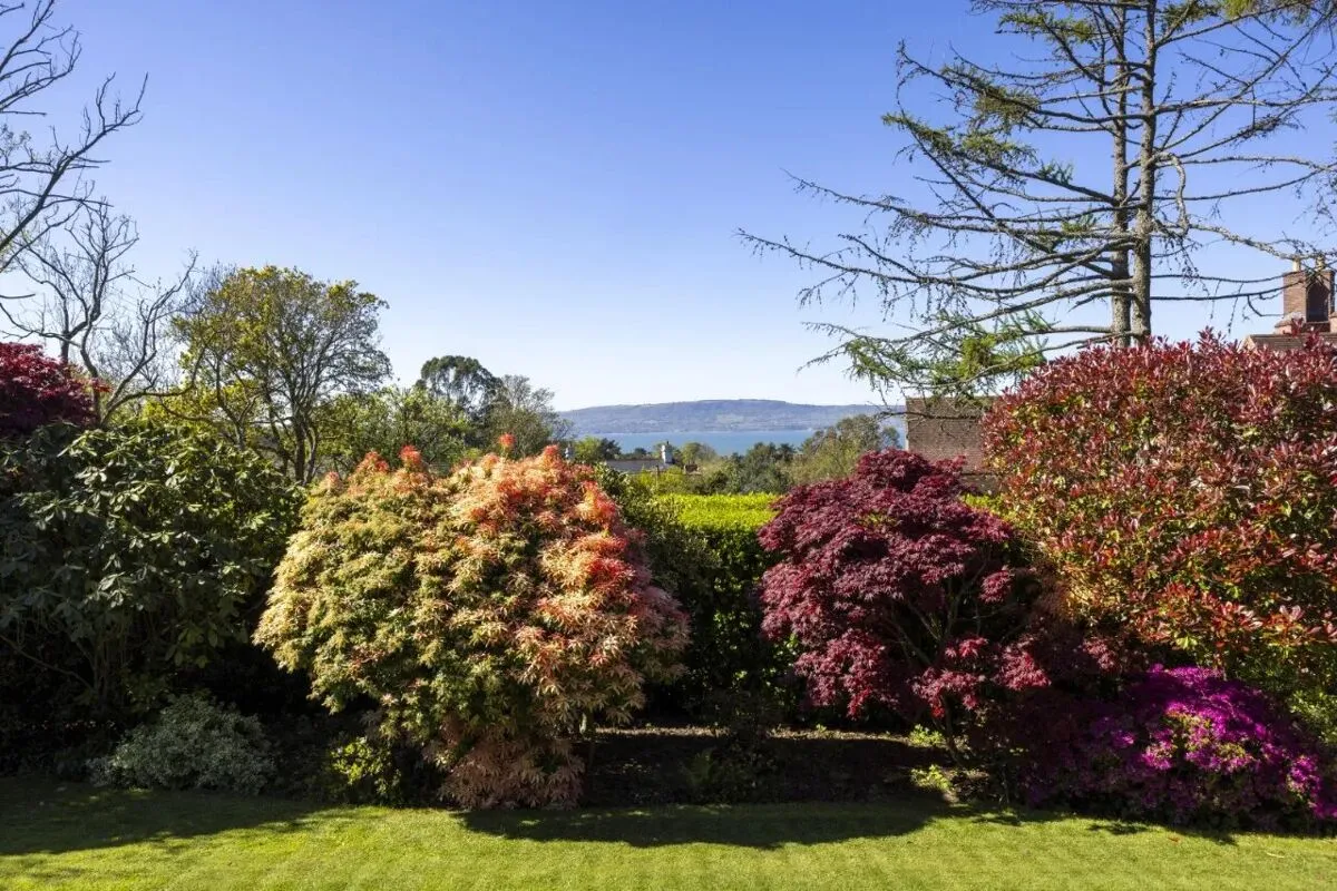 Station Road, Holywood, BT18, photo 77