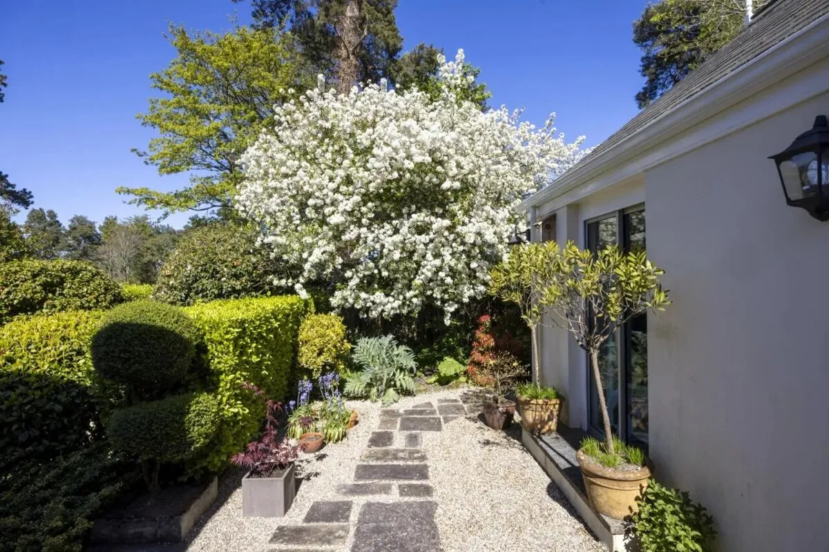 Station Road, Holywood, BT18, photo 74