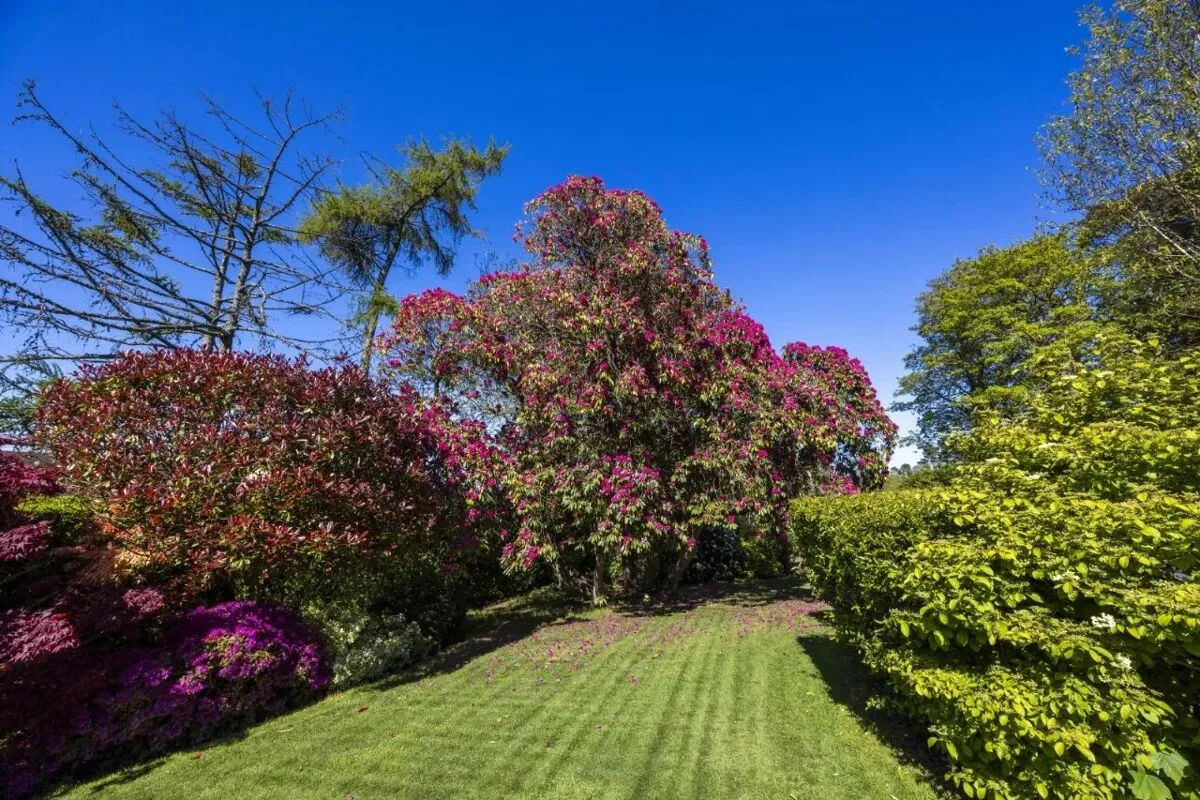 Station Road, Holywood, BT18, photo 68