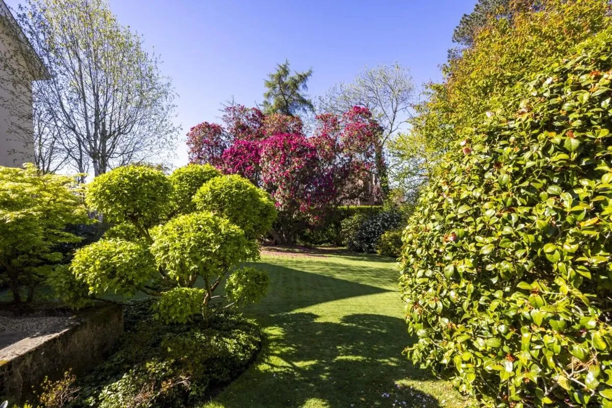 Station Road, Holywood, BT18, photo 72
