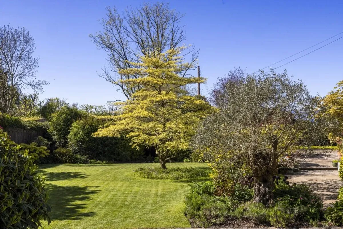 Station Road, Holywood, BT18, photo 62