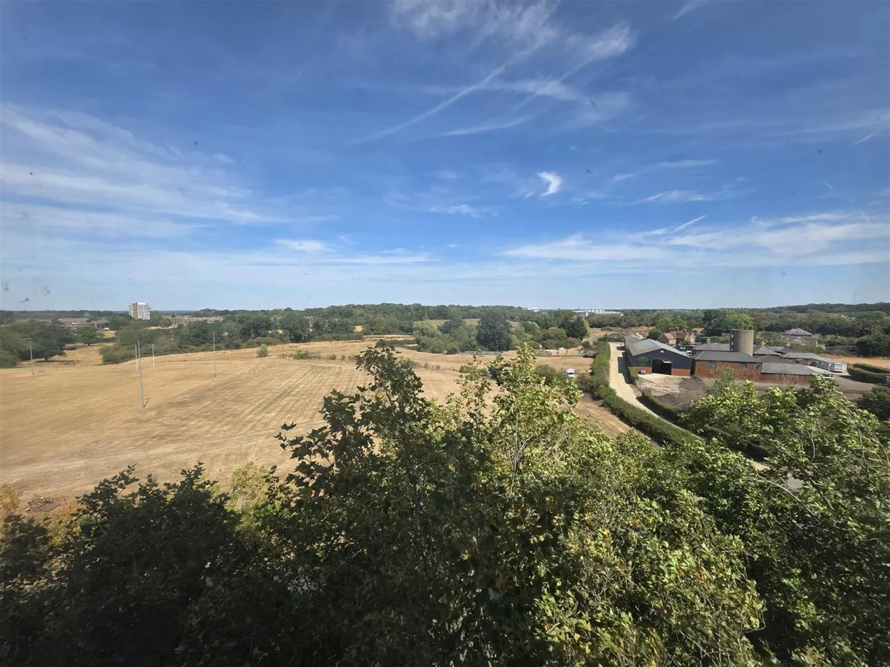 Nicholls Field, Harlow, CM18, photo 4