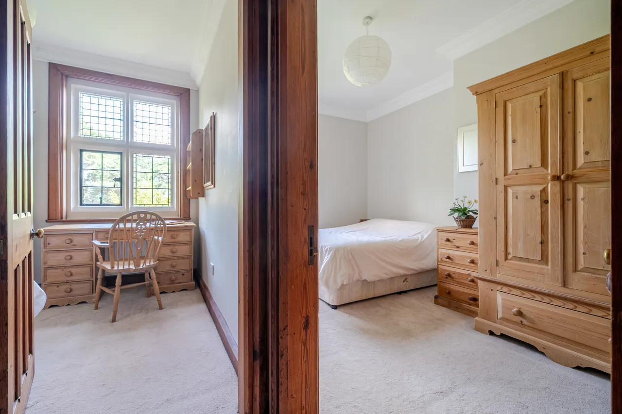 Oldfield Wood, Woking, GU22, photo 11