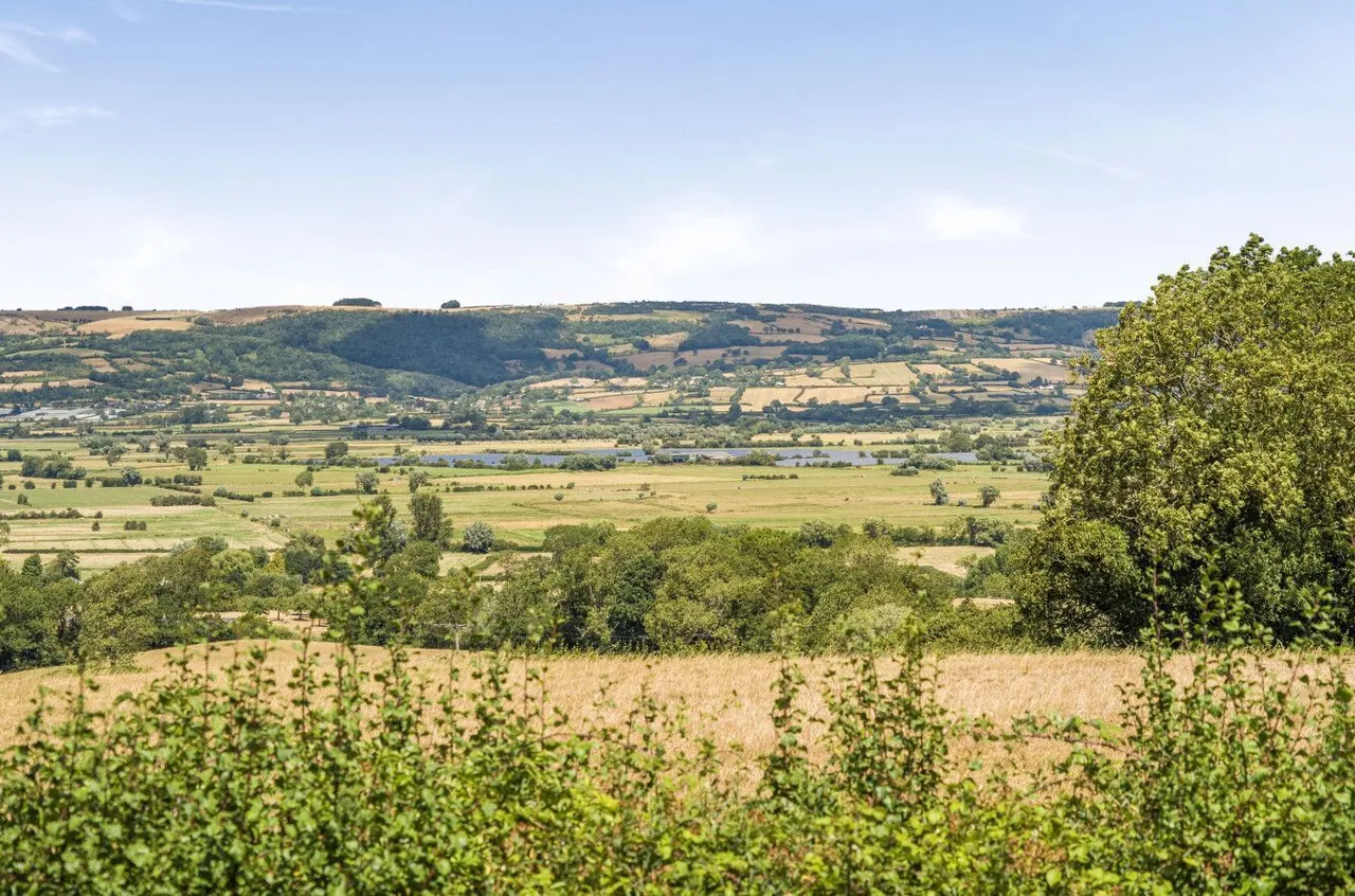 Mudgley Elms, Mudgley, BS28, photo 46