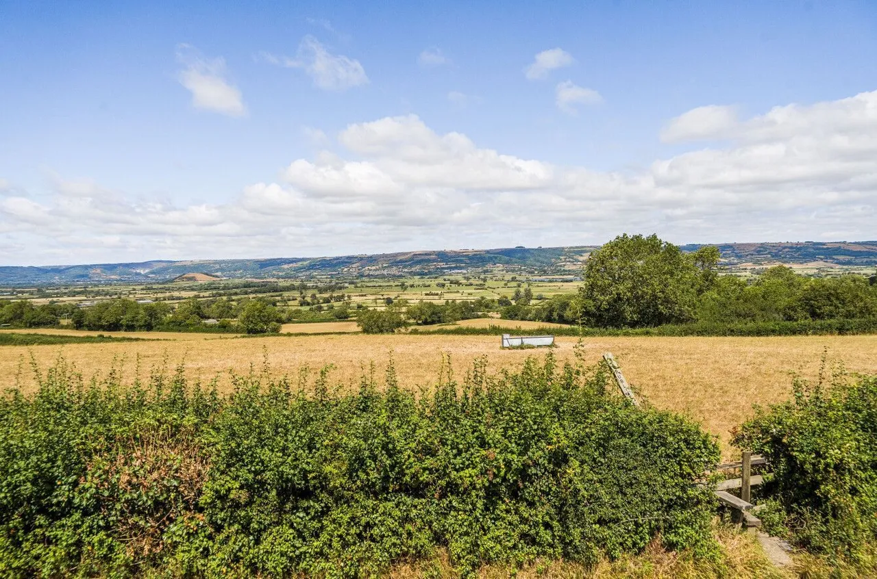 Mudgley Elms, Mudgley, BS28, photo 47
