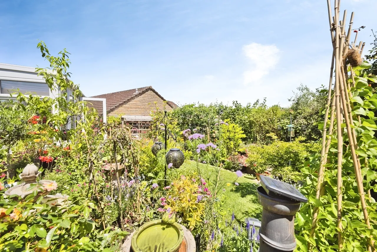 Walscombe Close, Stoke-Sub-Hamdon, TA14, photo 6
