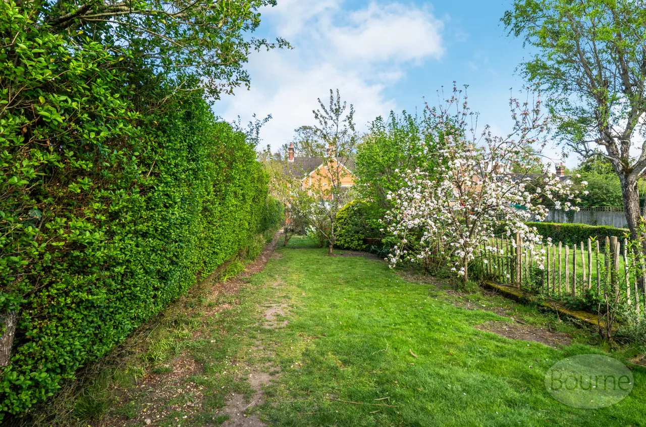 Main Road, Bucks Horn Oak, GU10, photo 13