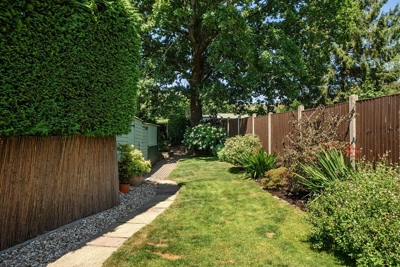 Border Road, HASLEMERE, GU27, photo 12