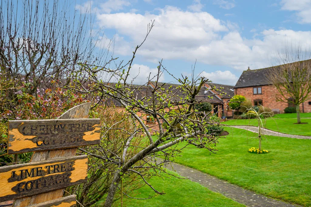 Field Aston, Newport, photo 26