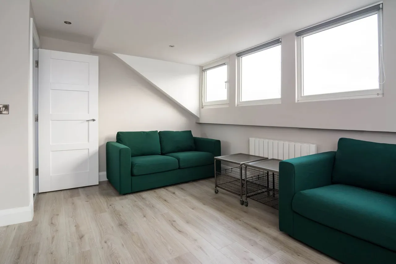 Lower Crescent, Belfast, BT7, photo 3