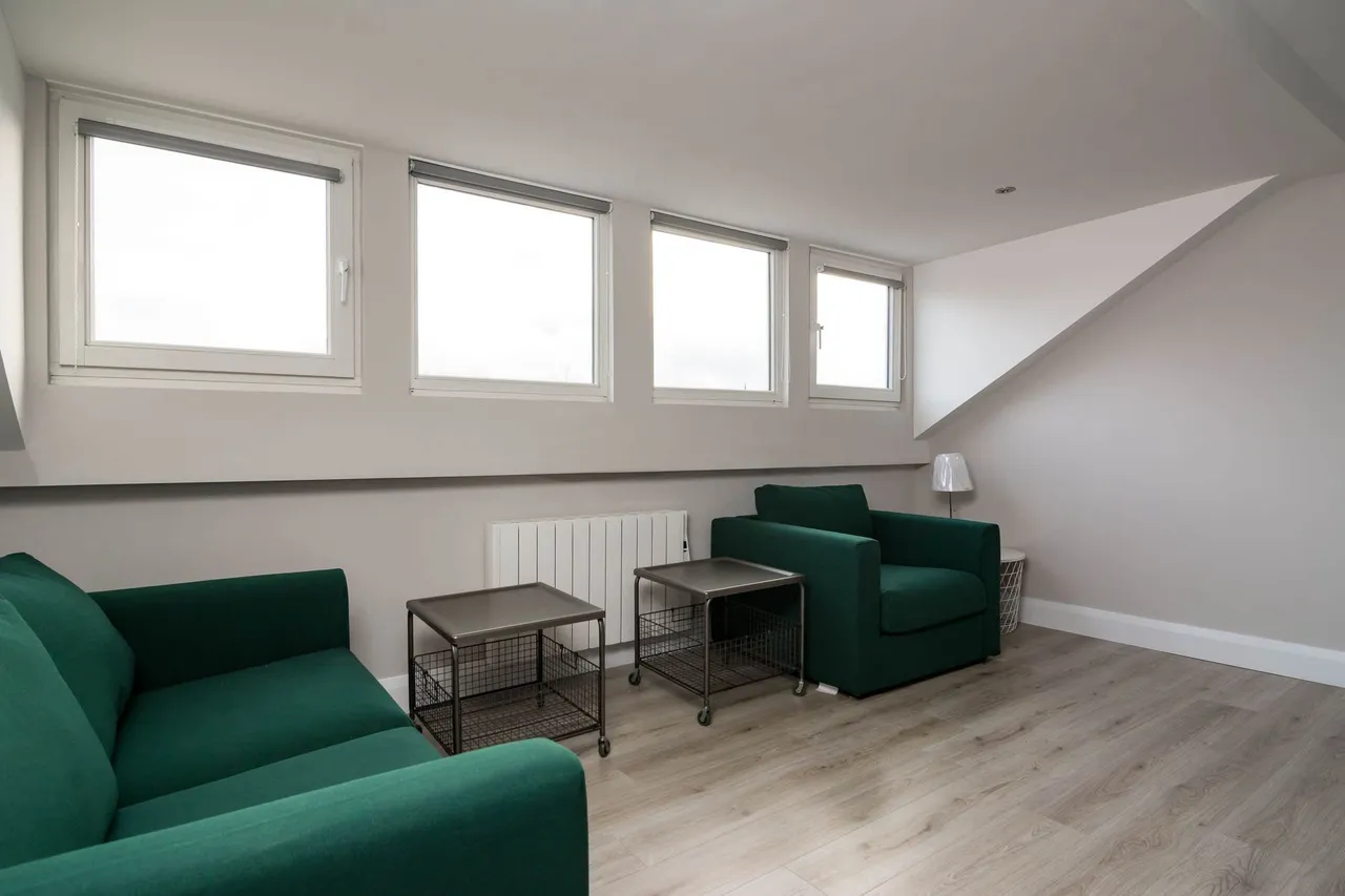 Lower Crescent, Belfast, BT7, photo 4