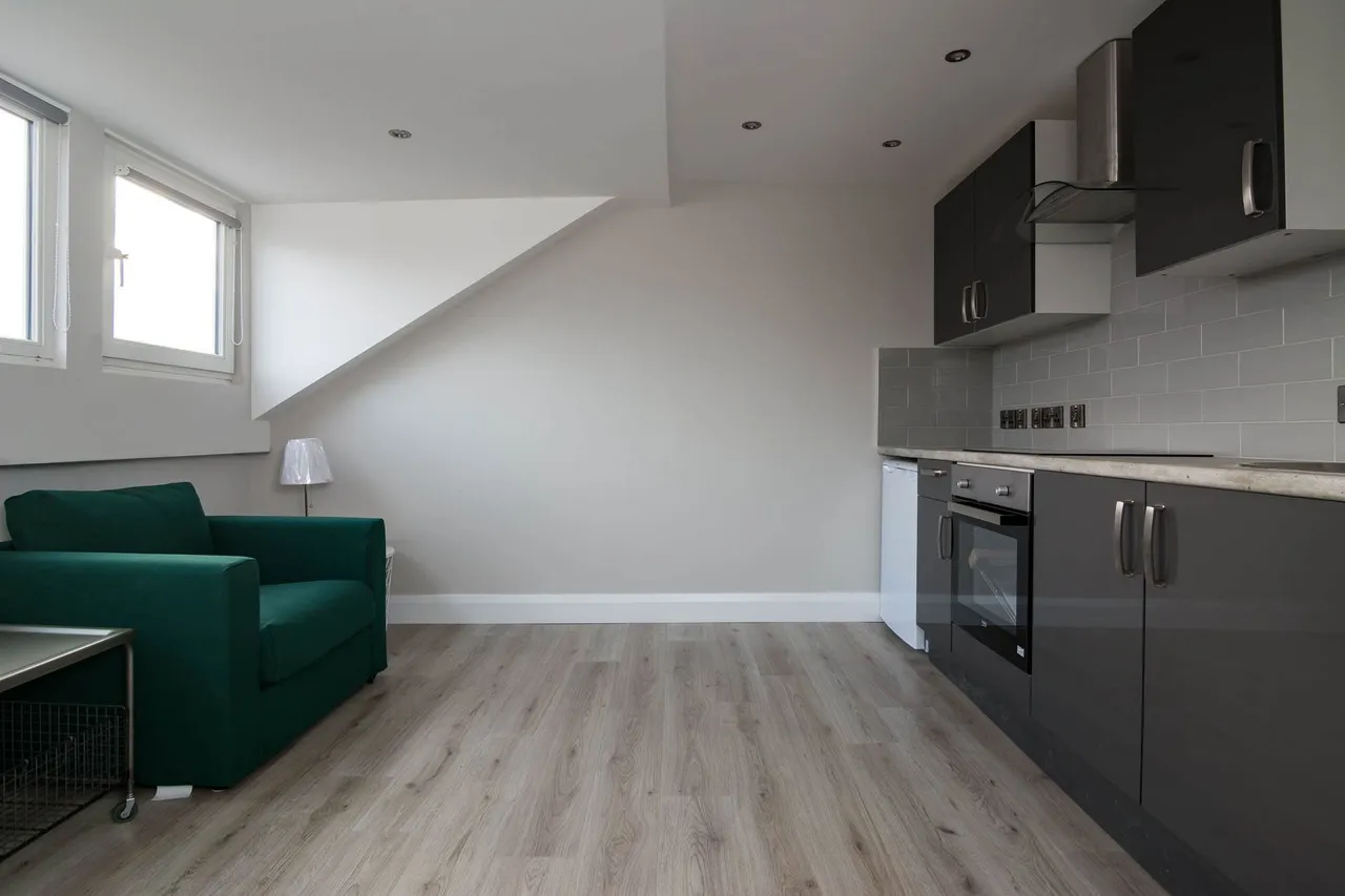 Lower Crescent, Belfast, BT7, photo 5