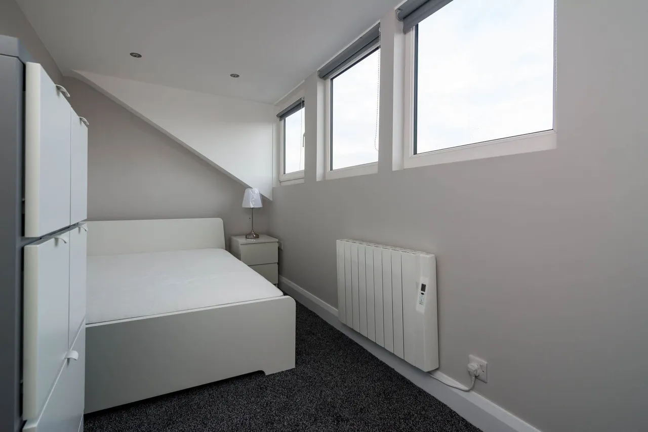 Lower Crescent, Belfast, BT7, photo 7