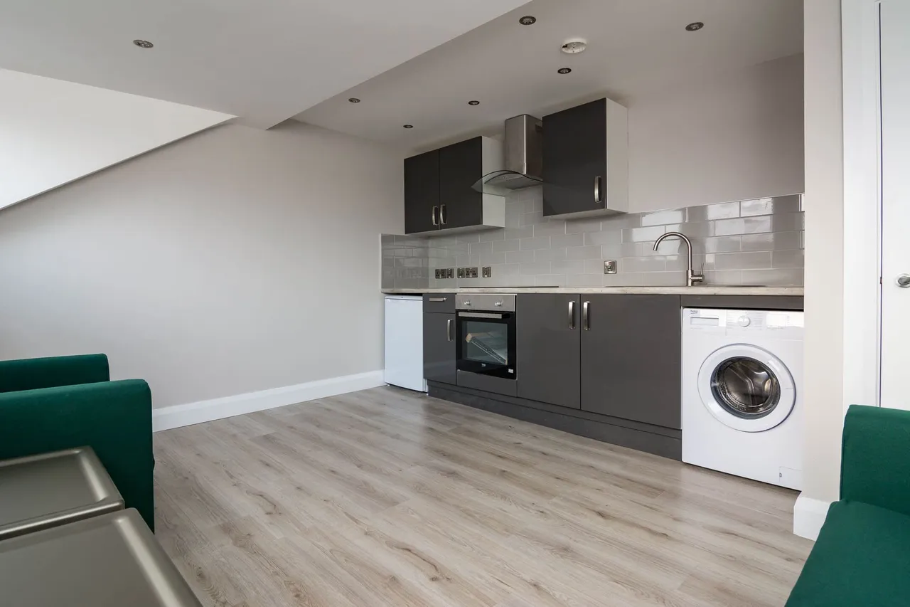 Lower Crescent, Belfast, BT7, photo 6