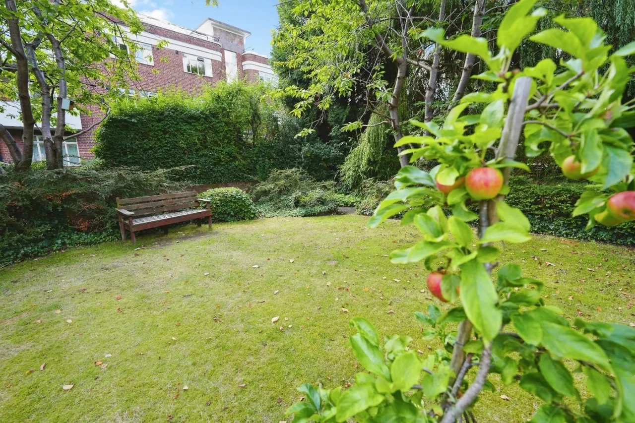 Wilmslow Road, Manchester, M14, photo 18