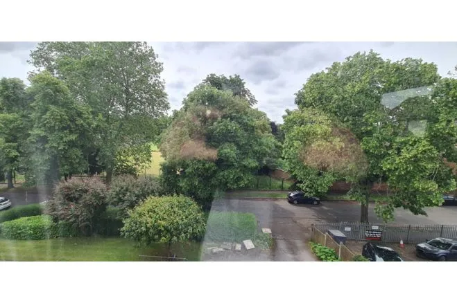Conway Road, Carlton, NG4, photo 16