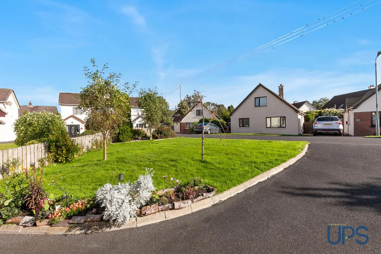 Bramble Wood, Crumlin, BT29, photo 26