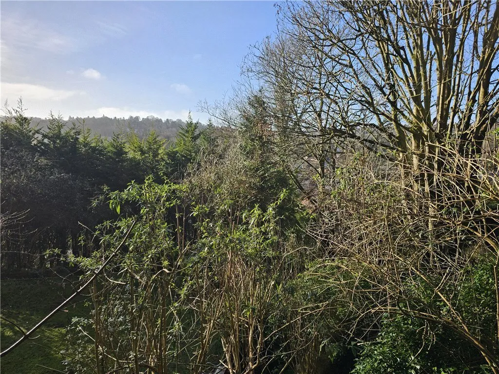 Crescent Road, Caterham, Surrey, CR3, photo 5