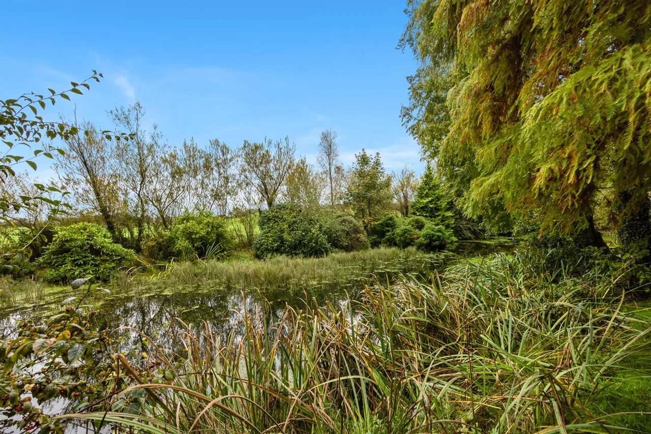 Dromore Road, Ballynahinch, BT24, photo 40
