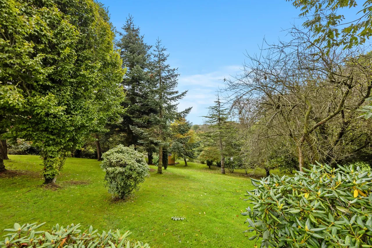 Dromore Road, Ballynahinch, BT24, photo 31