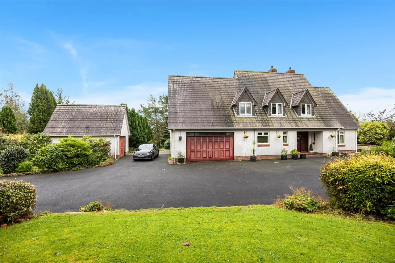 Dromore Road, Ballynahinch, BT24, photo 49