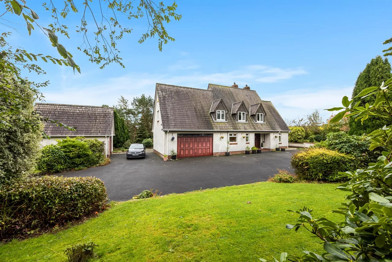 Dromore Road, Ballynahinch, BT24, photo 48