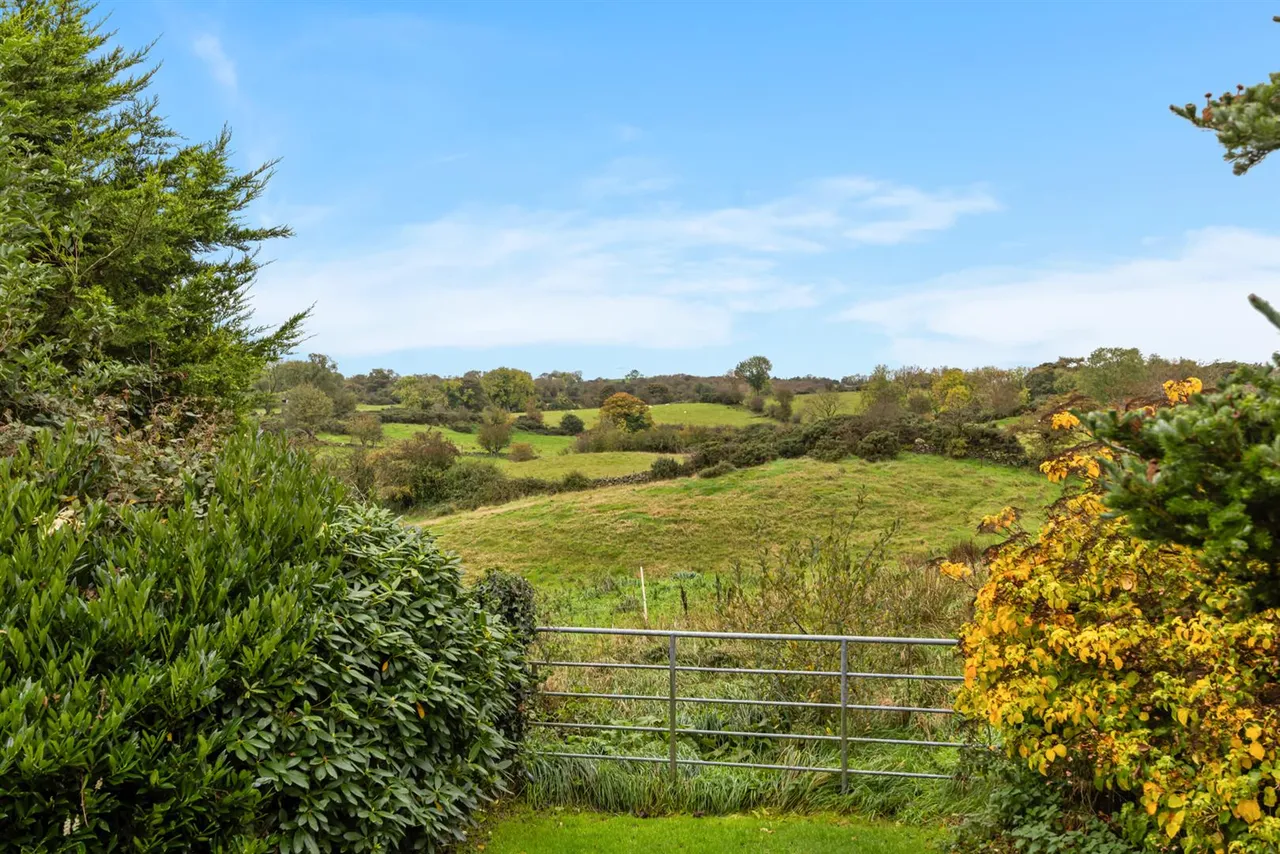 Dromore Road, Ballynahinch, BT24, photo 41