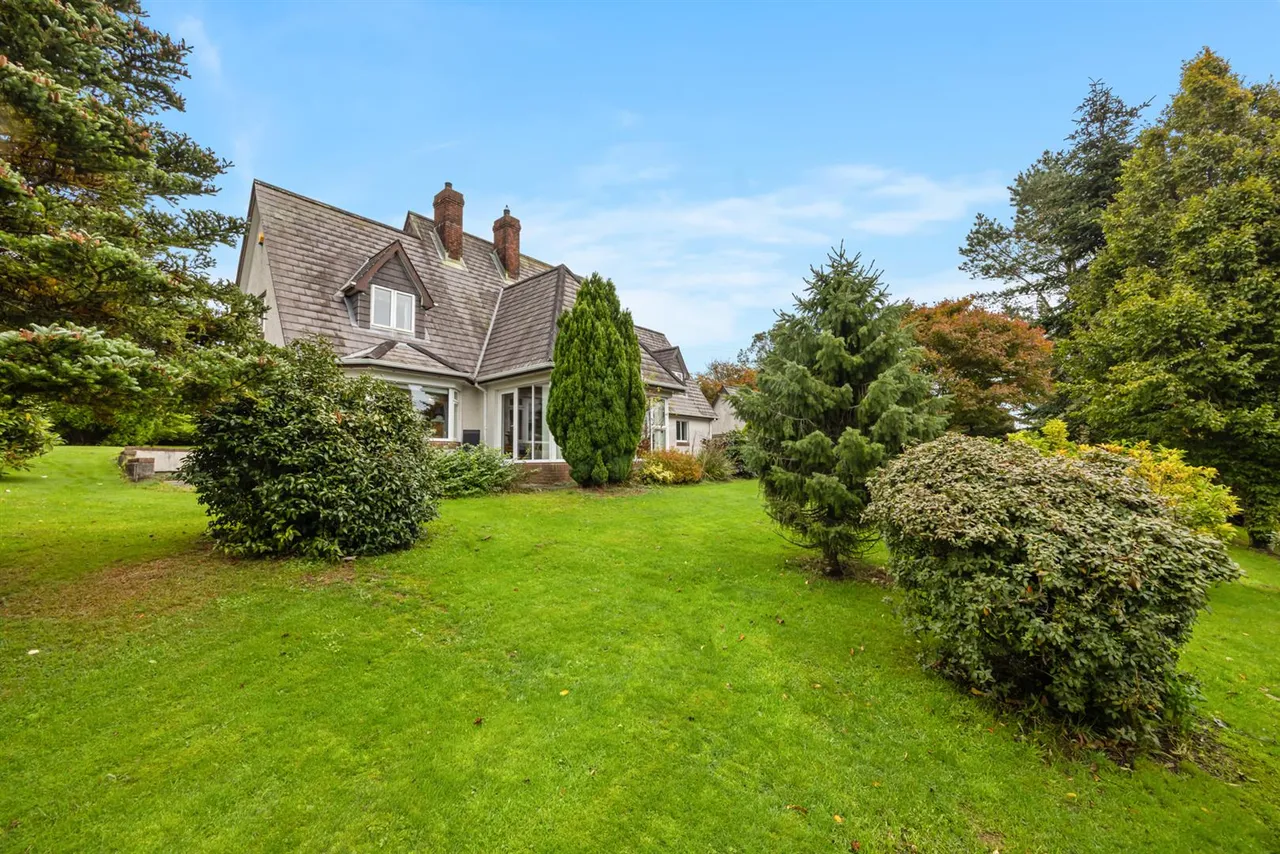 Dromore Road, Ballynahinch, BT24, photo 32