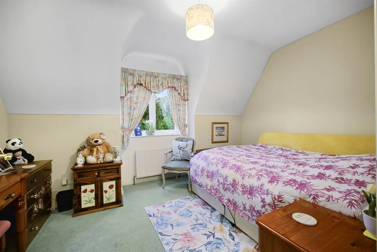 Dromore Road, Ballynahinch, BT24, photo 29