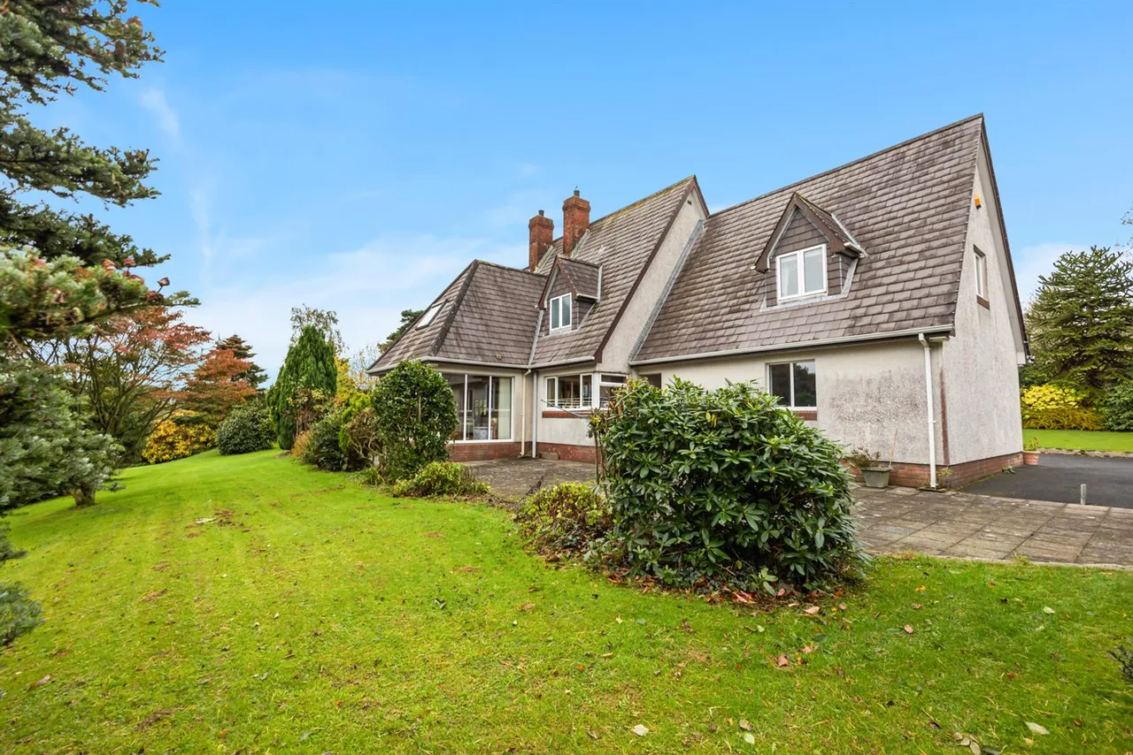 Dromore Road, Ballynahinch, BT24, photo 45